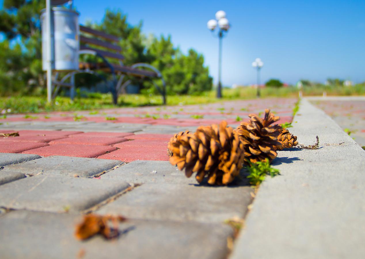 Hotel Promenad Затока Экстерьер фото